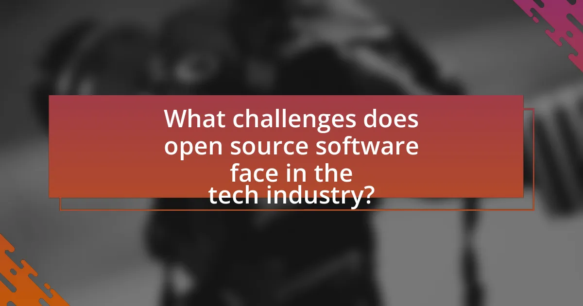What challenges does open source software face in the tech industry?